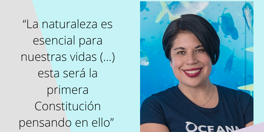 Liesbeth van der Meer